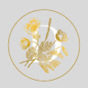 Meet your Posher, Dakota